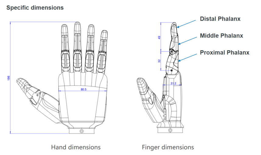 hands